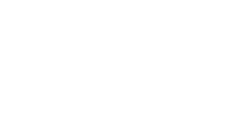 Flexera Logo FY25