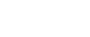 D3 Silverfort Lockup Logo 2025 2