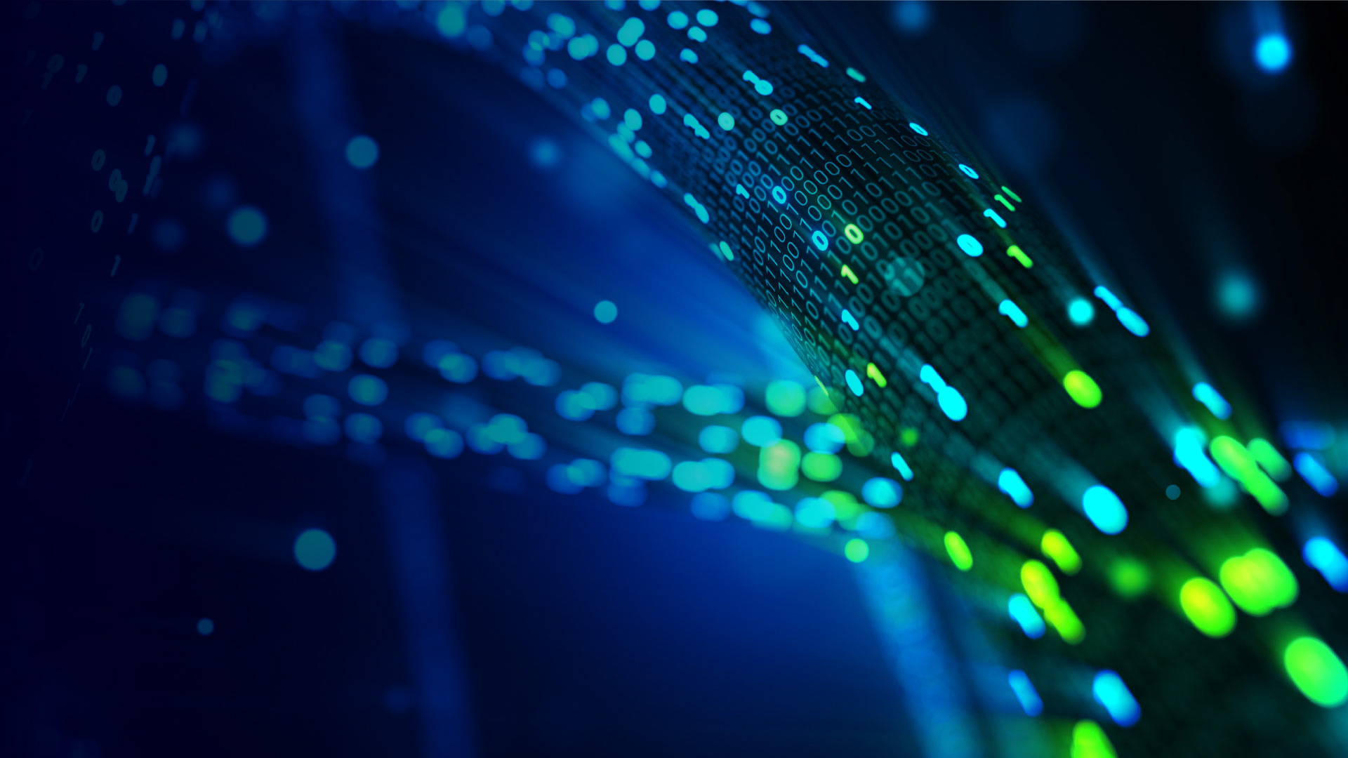 D3 Website FY26 H2 Hero